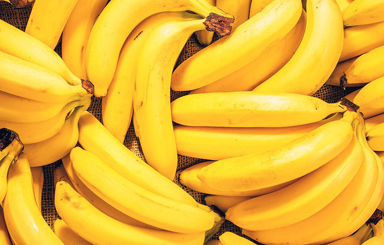 যাদের চুল বেশি তারাই এই মাস্ক ব্যবহার করুন। পাকা কলা আগে ভালো করে চটকে নিন। তাতে এবার নারকেলের দুধ মিশিয়ে নিন। হালকা চুল ভিজিয়ে চুলের গোড়ায় এই মাস্ক লাগান। আস্তে আস্তে স্ক্যাল্প মাসাজ করুন। এতে চুলের ডিপ কন্ডিশনিং হয়। চুল হয় মোলায়েম ও গোড়া থেকে শক্ত। ছবি: সংগৃহীত