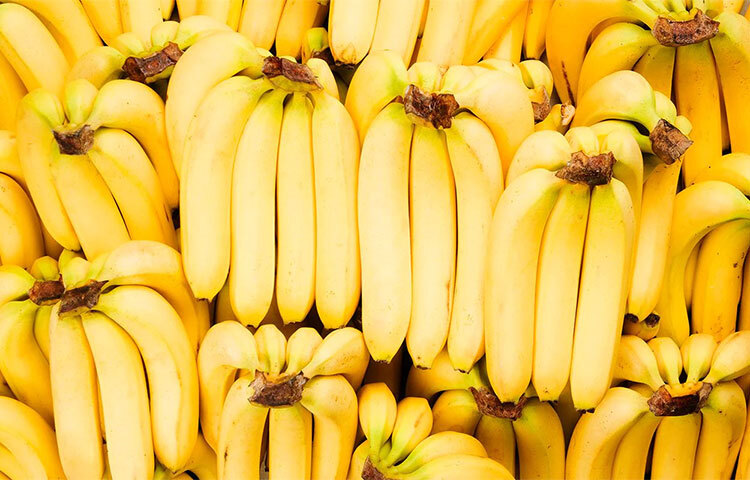 কলার কাণ্ড থেকে নির্গত হওয়া ইথিলিন গ্যাস তাড়াতাড়ি কলা পাকিয়ে দেয়। তাই প্লাস্টিক বা অ্যালুমিনিয়াম ফয়েল দিয়ে কলার কাণ্ড মুড়ে রাখুন। ছবি: সংগৃহীত