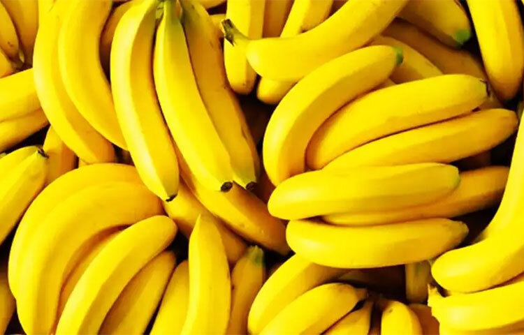 তবে অতিরিক্ত পাকা কলা কিন্তু একেবারেই খাওয়া উচিত নয় ডায়াবেটিস রোগীদের। তাতে শর্করার পরিমাণ দ্রুত বেড়ে যাওয়ার সম্ভাবনা থেকে যায়। ছবি: সংগৃহীত