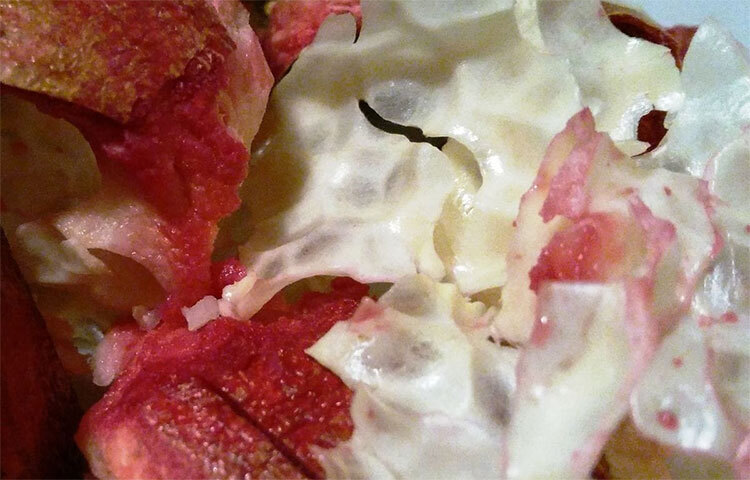 গরমে ত্বকে বেদানার খোসা ব্যবহার করে সান ট্যান এড়ানো যায়। রোদে বের হওয়ার আগে, ক্রিম, লোশন বা এসেনশিয়াল অয়েল যাই লাগান না কেন তাতে বেদানার খোসার গুঁড়া লাগান। এটি শুধুমাত্র কড়া রোদ থেকে সুরক্ষাই দেয় না বরং ত্বকের ট্যানিং এবং রোদে পোড়ার সমস্যাও কমায়। ছবি: সংগৃহীত