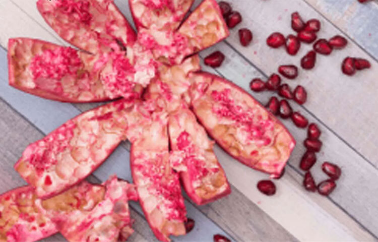 বেদানার খোসা গরমে ত্বকের দারুণ ময়েশ্চারাইজার হিসেবে কাজ করতে পারে। বেদানার খোসায় থাকে ইলাজিক অ্যাসিড যা ত্বকের পিএইচ স্তরের ভারসাম্য বজায় রেখে ময়েশ্চারাইজ করতে সাহায্য করে। এই খোসা রোদে শুকিয়ে গুঁড়ো করে নিন। ২ চা চামচ পাউডারে সামান্য গোলাপ জল মিশিয়ে পেস্ট তৈরি করুন এবং ত্বকে লাগান। ১০ মিনিট পর পরিষ্কার জল দিয়ে মুখ ধুয়ে ফেলুন। ছবি: সংগৃহীত