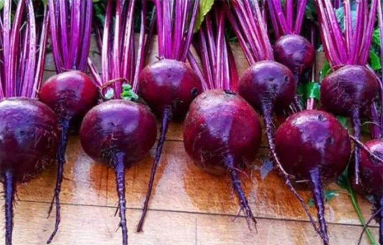 রক্তচাপ কম হলে বিটরুট খাওয়া চলবে না। কারণ বিট খেলে রক্তচাপ আরও কমে যায়। ছবি: সংগৃহীত