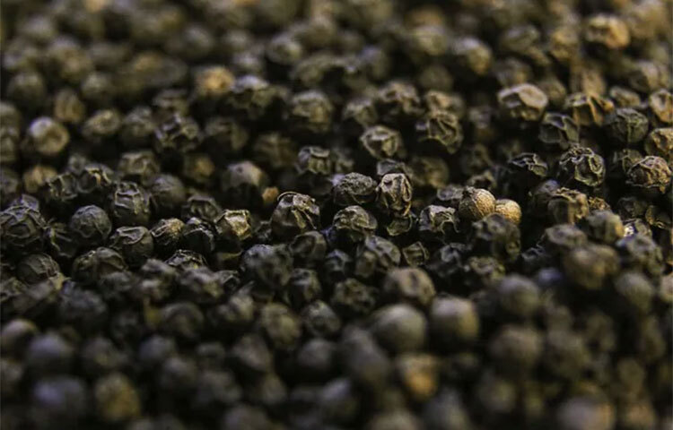 দাঁতে ক্যাভিটি বা ব্যথা থাকলে মুখে গোলমরিচ রাখতে পারেন। ব্যথা নিরাময় করতে গোলমরিচ সাহায্য করে। ছবি: সংগৃহীত