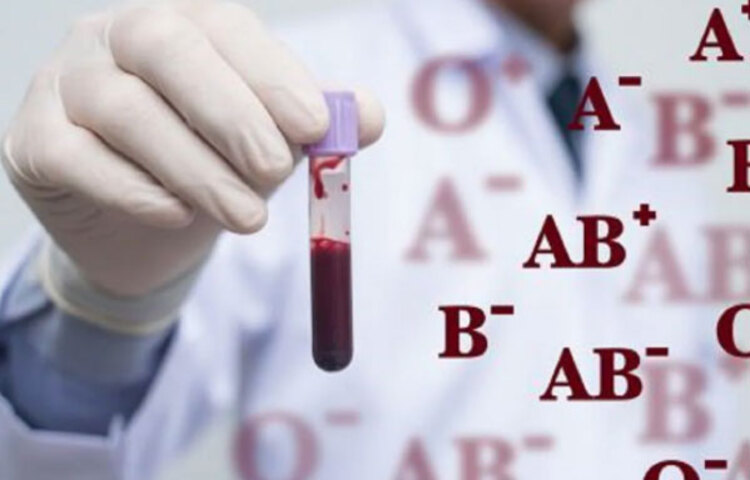 বিয়ে মানেই দুজন মানুষের মিলন এবং ভবিষ্যৎ প্রজন্ম নিয়ে ভাবনা চিন্তা শুরু। সেই ভবিষ্যতের কথা ভেবে সবথেকে গুরুত্বপূর্ণ হল স্বামী-স্ত্রীর ব্লাড গ্রুপ দেখে নেওয়া।