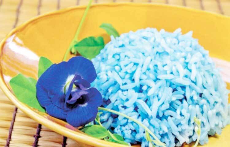 মূলত, যারা স্বাস্থ্য নিয়ে বেশ চিন্তিত তারা খুবই পছন্দ করেন নীল ভাত। যারা ফিগার নিয়ে খুব চিন্তিত, তারা ভাতের নাম শুনে মাথা নাড়লেও, নীল ভাতে তারা না করেন না। ছবি: সংগৃহীত