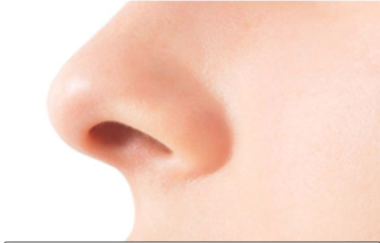 নাকের ছিদ্র নাকের ছিদ্র দেখেও অনেক কিছু বলা যায়। নাকের ছিদ্র বড় হলে, সেই মানুষটি খুবই কর্মনিপুণ এবং তার কল্পনাশক্তি প্রবল হয়। আর, নাকের ছিদ্র ছোট হলে তাদের খুব একটা বড় মনের পরিচয় পাওয়া যায় না এবং তারা অনেকের কাছেই অপ্রিয় হয়।