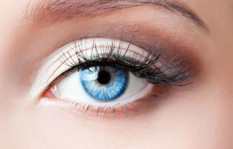 চোখের মণি চোখের মণির রং দেখেও অনেক কিছু বোঝা যায়। যার মণির রং যতটা গাঢ় তার মনের গভীরতা ও আকর্ষণ ক্ষমতাও ততই বেশি।