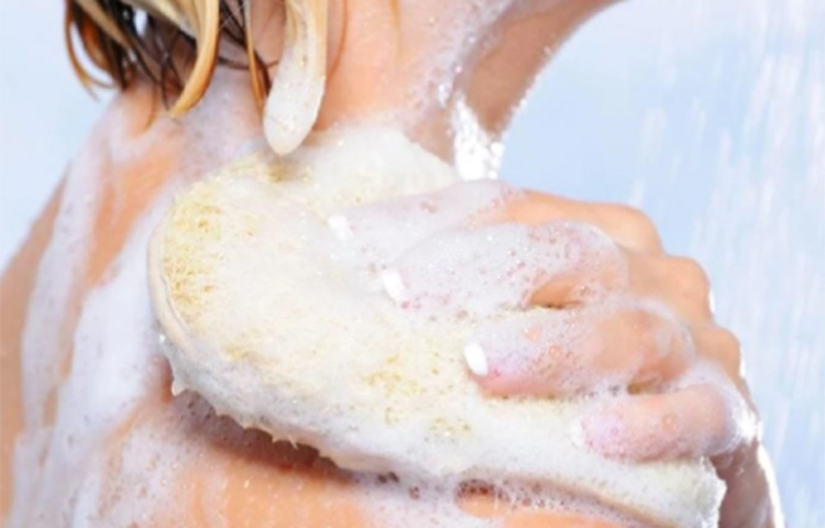 বডি ওয়াশের বিষয়ে একটি প্রচলিত ভুল ধারণা রয়েছে। সেটা হলো গোসলের সময় বডি ওয়াশ পানি দিয়ে ধুতে সাবানের তুলনায় বেশি সময় লাগে। তাই অনেকেই অফিসে বা বাইরে বেরোতে দেরি হওয়ার ভয়ে বডি ওয়াশ এড়িয়েই চলেন। এটা কিন্তু একেবারেই ভুল। কারণ বডি ওয়াশ পানি দিয়ে সহজেই ধুয়ে ফেলা যায়। আর আমাদের ত্বককে এটা হাইড্রেট করে। সঙ্গে ত্বকের উজ্জ্বলতা বাড়াতেও সাহায্য করে বডি ওয়াশ। ছবি: সংগৃহীত