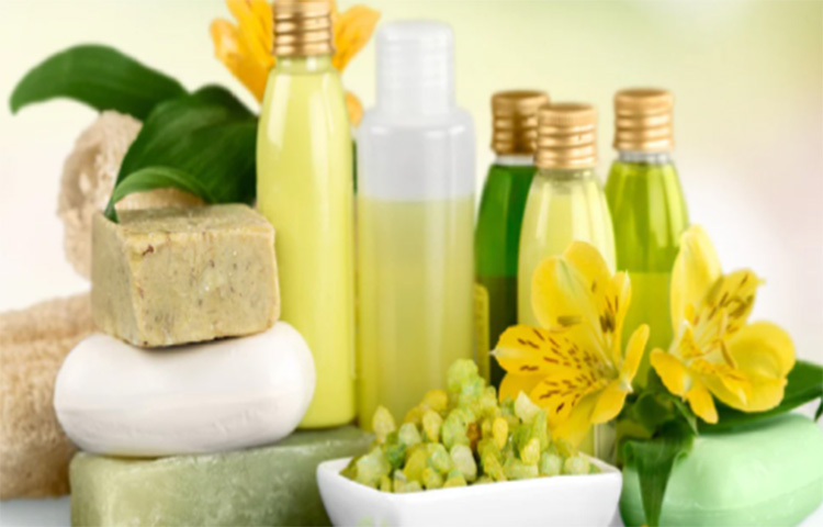 গোসলের জায়গায় সাবান একটি নির্দিষ্ট পাত্রে রাখতে হয়। আর অন্যের ব্যবহার করা সাবান ব্যবহার করা একেবারেই ঠিক নয়। সেখানে বডি ওয়াশ এমনিতেই বোতলে পাওয়া যায়। অন্যদিকে একসঙ্গে অনেকে ব্যবহারও করা যায়। আর হাইজিন নিয়ে তো ভাবতেই হয় না। আবার বেড়াতে যাওয়ার সময় বডি ওয়াশের বোতল নিয়ে গেলেই হয়। কারণ আলাদা করে সাবান নেওয়াটা খুবই ঝামেলার বিষয়। ছবি: সংগৃহীত