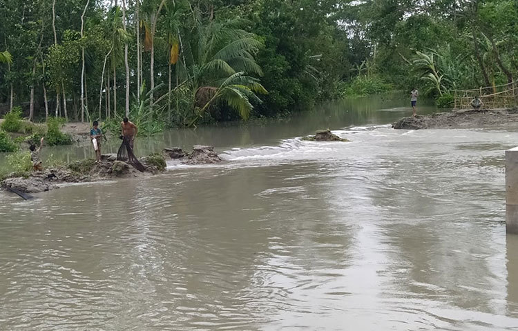 প্রবল বেগে ফসলের খেতে পানি প্রবেশ করায় নষ্ট হয়ে ফসলের খেত। ছবি: মো. সাইফুল ইসলাম মিরাজ