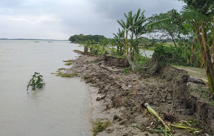 মাইলের পর মাইল নদীর পাড় ভেঙেছে। ছবি: মো. সাইফুল ইসলাম মিরাজ