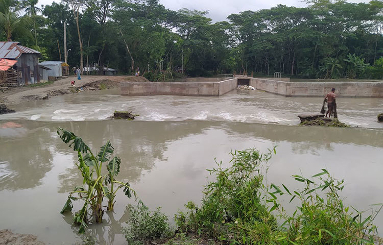 প্রবল বেগে পানি উঠে যাওয়ায় ভেঙেছে নদীর পাড়। ছবি: মো. সাইফুল ইসলাম মিরাজ