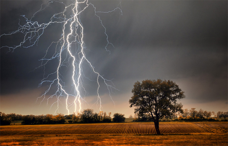 মূলত ‘ক্লাউড টু গ্রাউন্ড লাইটেনিং’ বা মেঘ থেকে মাটিতে নেমে আসা বজ্রপাতের কারণে মানুষের প্রাণ যায়। আবহাওয়ার উপর মানুষের নিয়ন্ত্রণ না থাকলেও বাজ্রপাতের সময় কিছু সাবধানতা অবলম্বন করাই শ্রেয় বলে বিশেষজ্ঞদের মত। ছবি: সংগৃহীত