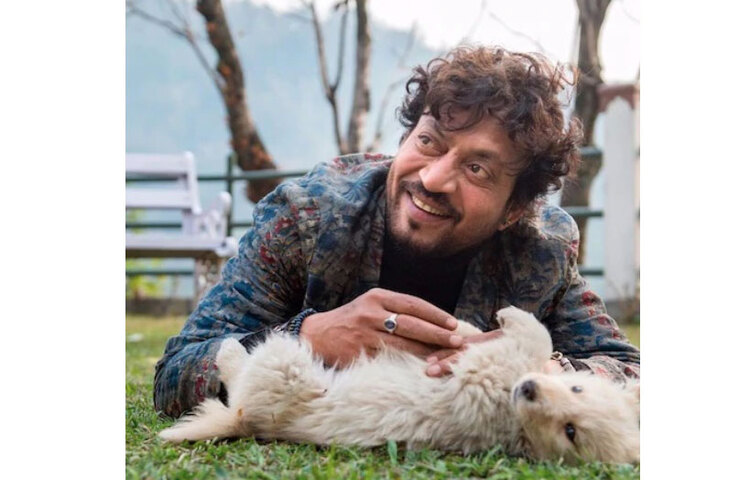 প্রতিভাবান অভিনেতা ইরফান খান গত ২৯ এপ্রিল মারা যান। ২০১৮ সাল থেকে তিনি ক্যান্সারের বিরুদ্ধে লড়াই করছিলেন। তার মস্তিষ্কে নিউরো-এন্ডোক্রাইন টিউমার হয়েছিল। পরে, তিনি কোলন সংক্রমণে মারা যান।