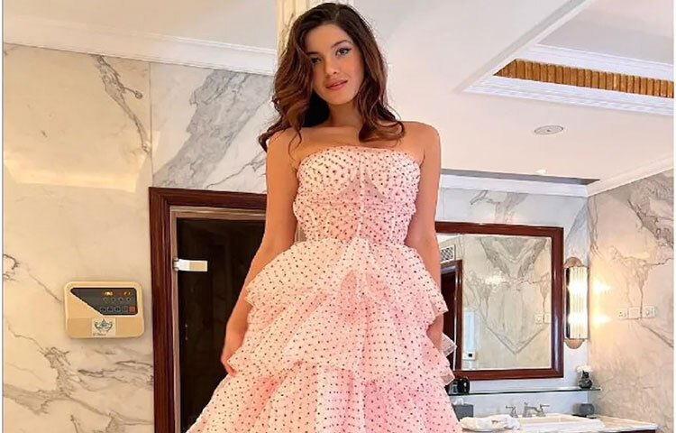 বলরুম স্টাইল ড্রেসে শানায়াকে দেখে মনে হচ্ছে, তিনি যেন ডিজনি ছবিতে দেখা কোনো রাজকন্যা। ছবি: সংগৃহীত