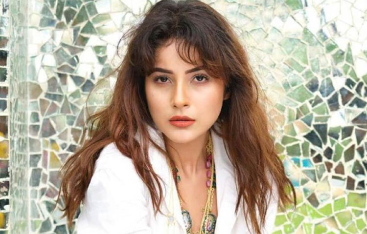 শেহনাজ গিল: পাঞ্জাবি অভিনেত্রী শেহনাজ ইন্ডাস্ট্রির পরিচিত মুখ। ক্যারিয়ারের শুরুর দিকে তাকে বিভিন্ন গানের ভিডিওতে দেখা যেত। কিন্তু তিনি প্রচারের আলোতে আসেন ‘বিগ বস’-এর তেরোতম আসরে অংশগ্রহণ করার পর। তার এবং সিদ্ধার্থ শুক্লর জুটি দর্শকের বেশ পছন্দ হয়। ছবি: সংগৃহীত