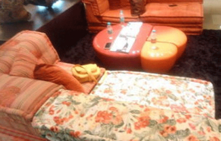 আরামদায়ক সোফা আর ছোট একটা টেবিল। এই ঘরেই পরিবারের সকলে একসঙ্গে বসে টিভি দেখেন। আড্ডা মারেন। তাই এর নাম ‘ফ্যামিলি রুম’।