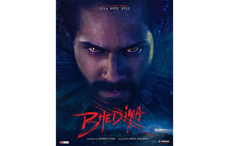 বরুণ ধাওয়ান ও কৃতী শ্যানন অভিনীত ভেড়িয়া মুক্তি পাবে ২০২২ সালে। ছবি: সংগৃহীত