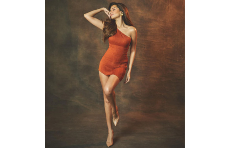 জন্মদিনের জন্যই এই স্পেশাল পোশাক নায়িকার। ডিজাইনার ক্রিস্টিয়ান লোবুটিন। ছবি: সংগৃহীত