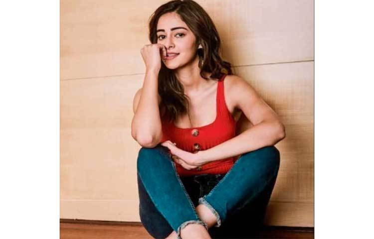 বুদ্ধিদীপ্ত সুন্দরী অনন্যা পাণ্ডে এই বছরের বলিউডের অন্যতম নতুন মুখ।