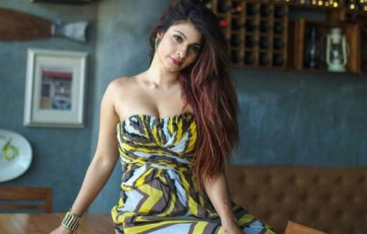 বলিউডে তনিশার প্রথম ব্রেক ২০০৩ সালে। ‘শশশশ...’ ছবিতে তিনি অভিনয় করেন করণনাথের বিপরীতে। কিন্তু বক্স অফিসে ছবিটি সাফল্য পায়নি।