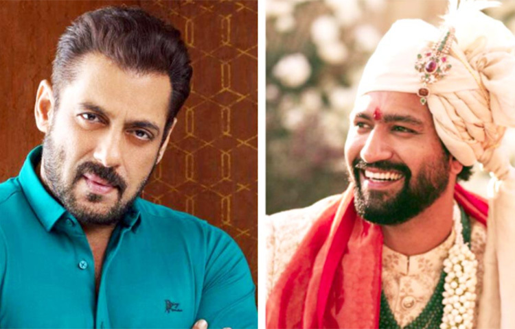 সালমান খানের নিন্দুকেরা বলেন, তার প্রাক্তন প্রেমিকাদের স্বামী বা প্রেমিকারা কোনো অজানা কারণে বলিউডে আর তেমন দাগ কাটতে পারেননি। বিস্মৃতিতেও তলিয়ে গিয়েছেন কেউ কেউ। ভিকি কৌশল সেই সারির ব্যতিক্রম। ছবি: সংগৃহীত