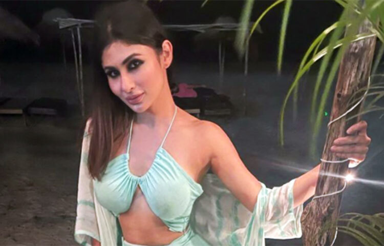 সুরজের স্কুল এবং কলেজ শিক্ষা বেঙ্গালুরুতে। ইঞ্জিনিয়ারিংয়ে স্নাতক হওয়ার পর নিজের বিষয় বদল করে লন্ডন স্কুল অব ইকনমিক্সে এবং স্ট্যানফোর্ড বিশ্ববিদ্যলয়ে পড়াশোনা করতে যান। মৌনির হবু বরের ইনভেস্টমেন্ট ব্যাংকার হওয়ার প্রক্রিয়া তখন থেকেই শুরু। ছবি: সংগৃহীত