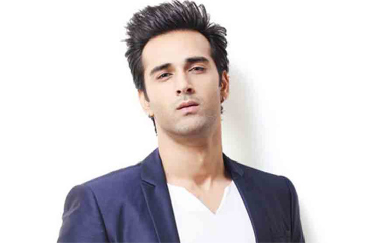 শাহরুখের মতোই বলিউড-যাত্রার আগে টেলিভিশনের জমিয়ে বসেছিলেন পুলকিত সম্রাট। তবে বলিউডে সুপারস্টারের তকমা না পেলেও  ছাপ ফেলেছেন ‘ফুকরে’ পুলকিত। দিল্লির আনাচকানাচে পড়ে থাকা টুকরোটাকরা জীবনকে ‘ফুকরে’-তে নিজের মতো করে ফুটিয়ে তুলেছেন। ছবি: সংগৃহীত