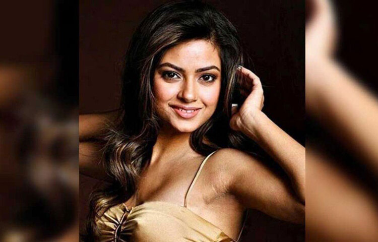 জনপ্রিয়তা ও খ্যাতির মধ্যগগনে থাকতে থাকতেই দক্ষিণী ছবি থেকে সরে এসেছিলেন মীরা। কিন্তু তার প্রত্যাশা পূর্ণ হয়নি।