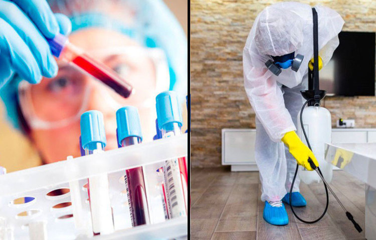 আগেই জানিয়ে দেওয়া হয়েছিল, এ বছর কোভিড টেস্টের পরেই প্রতিযোগীরা এই শো-এ অংশ নিতে পারবেন। স্যানিটাইজ করা হবে বিগ বস-এর হাউস। এ বছর ফিল্ম সিটির ভিতরেই তৈরি করা হচ্ছে বিগ বস-এর সেট।