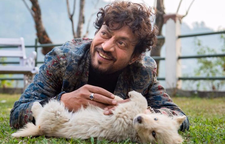 ইরফান খান। সাল ২০০৩। ‘হাসিল’ ছবিতে খলনায়কের চরিত্র অভিনয় করেন এই জাতীয় পুরস্কার জয়ী অভিনেতা। সেটাই ছিলে বলিউডে তার প্রথম ছবি। ক্যানসারে আক্রান্ত হয়ে প্রয়াত এই অভিনেতা বলিউডকে দিয়ে গিয়েছেন, ‘পান সিং তোমার’, ‘পিকু’, ‘দ্য লাঞ্চবক্স’, ‘জুরাসিক ওয়ার্ল্ড’, ‘মাদারি’, ‘হিন্দি মিডিয়াম’, ‘আংরেজি মিডিয়াম’-এর মতো ছবি।