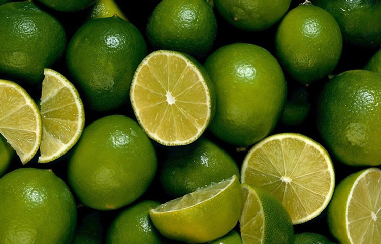 লেবু: বমি বমি ভাব কাটাতে খুব সহজ এবং সস্তা একটি উপায় হল লেবু। এক টুকরো লেবু মুখে নিয়ে কিছুক্ষণ চুষুন। এ ছাড়া এক গ্লাস জলে এক টুকরো লেবুর রস, এক চিমটে নুন মিশিয়ে খেয়ে নিন। এটি দ্রুত বমি বমি ভাব দূর করে দেবে। এক টুকরো লেবু নাকের কাছে নিয়ে কিছুক্ষণ শুঁকে দেখুন, এটিও শারীরিক অস্বস্তি অনেকটাই কমিয়ে দেবে।