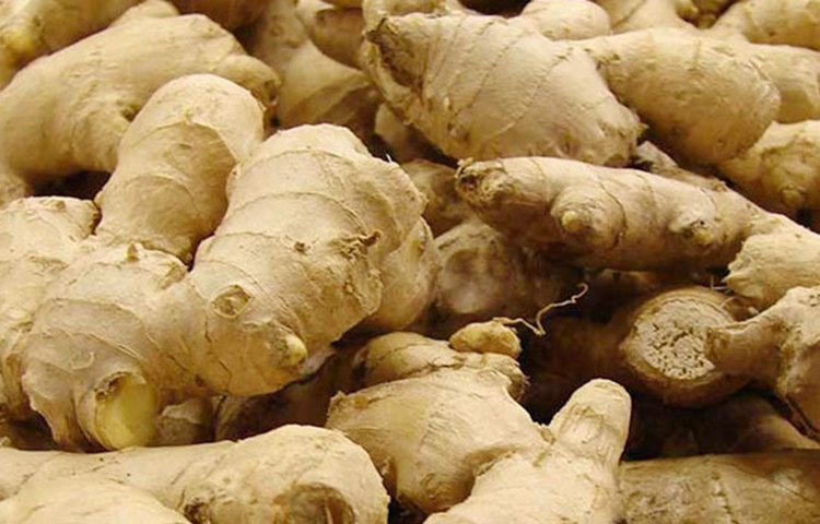 আদা: দ্রুত বমি বমি ভাব দূর করতে আদা খুবই কার্যকরী একটি উপাদান। এক টুকরা আদা চায়ের সঙ্গে খান, এটি দ্রুত বমি বমি ভাব দূর করে দেবে। আদা হজমের সমস্যা দূর করতে সাহায্য করে। এক চামচ আদার রস, এক চামচ লেবুর রস এবং সামান্য বেকিং সোডা মিশিয়ে খেয়ে দেখুন। এটিও বমি বমি ভাব দূর করতে সাহায্য করবে।