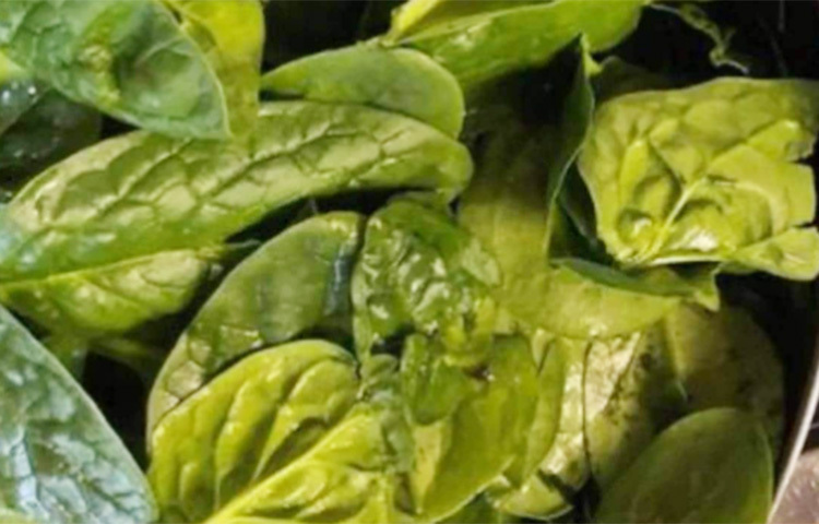 ক্যালসিয়ামে পরিপূর্ণ পালংশাকে হাড় ও দাঁতের গঠন মজবুত হয়। রোজ এক কাপ সিদ্ধ পালংশাকে শরীরে ক্যালসিয়ামের প্রয়োজন মেটে ২৫ শতাংশ পর্যন্ত। পালং শাকে প্রচুর আয়রন, ভিটামিন এ এবং ফাইবারও আছে। ছবি: সংগৃহীত