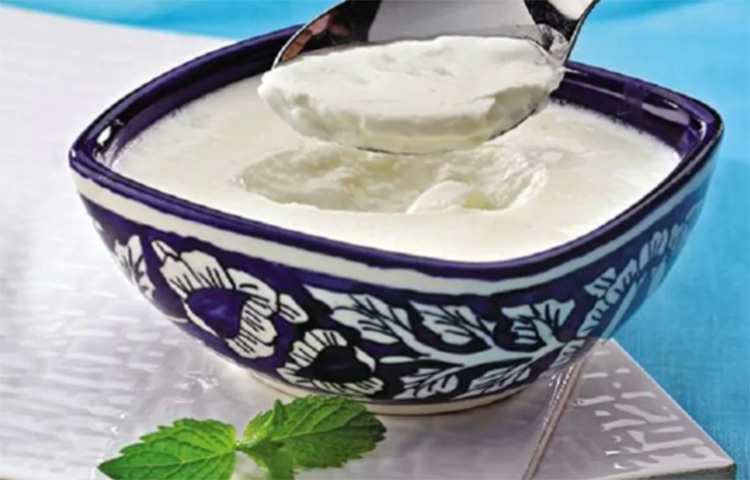 হাড়ের সুস্বাস্থ্যের কথা ভেবে ডায়েটে রোজ রাখুন ফ্যাট ফ্রি দুধ ও টক দই। ডায়াবেটিস নিয়ন্ত্রিত থাকলে খেতে পারেন চকোলেটের মতো ডেইারি প্রডাক্টসও। ছবি: সংগৃহীত