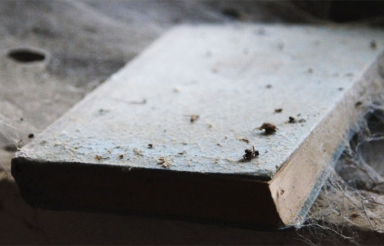 আমেরিকান হরর ছায়াছবি ফ্র্যাঞ্চাইজি ‘ইভিল ডেড’-এ বেশ কয়েক বার ব্যবহৃত উত্থাপিত হয়েছে ‘নেক্রোনমিকন এক্স-মর্টিস’ নামের একটি বইয়ের প্রসঙ্গ। সেই বই যে শুধু মানবত্বকে বাঁধানো তা-ই নয়। তা নাকি মানব রক্তে লিখিত। প্রসঙ্গত, ‘নেক্রোনমিকন’ লাভক্র্যাফটের বিভিন্ন রচনায় উল্লিখিত একটি কল্পিত বই, যা নাকি সুমেরিয়ার এক কালো-জাদুকরের লেখা। ছবি: সংগৃহীত