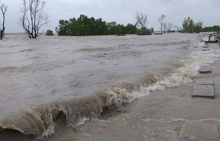 বরগুনার তালতলী উপজেলার বগি এলাকার মো. শাহীন বলেন, পায়রা নদীতে প্রচণ্ড ঢেউ শুরু হয়েছে, সেই সঙ্গে জোয়ারের উচ্চতাও বৃদ্ধি পেয়েছে অনেক। এই উচ্চতা বেড়েই চলছে। পানির উচ্চতা এভাবে বৃদ্ধি পেতে থাকলে এই এলাকার বেড়িবাঁধ ভেঙে লোকালয়ে পানি প্রবেশ করতে বেশি সময় লাগবে না। ছবি: মো. সাইফুল ইসলাম মিরাজ