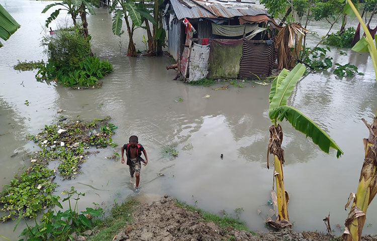 ডুবে গেছে অনেক বাড়ি-ঘর। ছবি: মো. সাইফুল ইসলাম মিরাজ