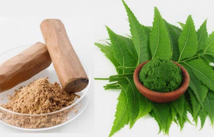 নিমপাতা খুব ভালো জীবাণুনাশক, তাই ব্রণ সারাতে নিমপাতা অত্যন্ত কার্যকরী! নিমপাতা বেটে তার সঙ্গে চন্দনের গুঁড়া মিশিয়ে মিশ্রণ তৈরি করুন। এই মিশ্রণ ত্বকে লাগিয়ে ১৫-২০ মিনিট পর ধুয়ে ফেলুন। এই প্যাক নিয়মিত ব্যবহারে উপকার পাবেন।