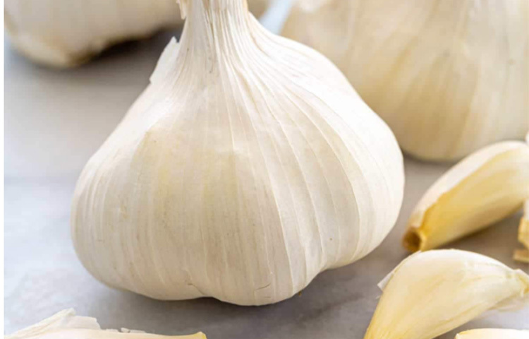 এবার রসুনের রস লাগান ব্রণর ওপরে। হালকা করেই লাগাবেন। বেশি জোরে ঘষবেন না। ছবি: সংগৃহীত