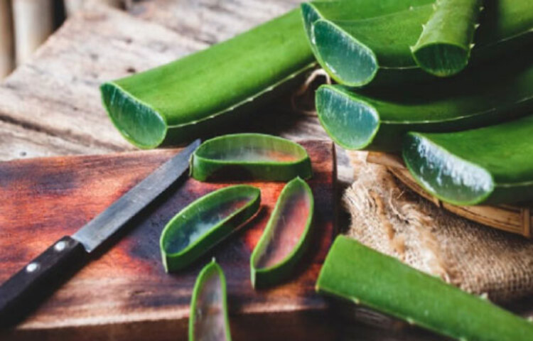 অ্যালোভেরা গাছ থেকে নির্যাস বের করে ব্রণে লাগান। কেনা জেল এড়িয়ে চলাই ভালো এতে রাসায়নিক থাকতে পারে।