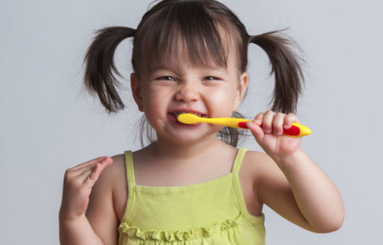 ‘ইন্ডিয়ান ডেন্টাল অ্যাসোসিয়েশন’-এর তরফে জানানো হয়েছে, দিনে প্রতিবার খাওয়ার পর দাঁত মাজা মোটেও জরুরি নয়! দু’বারই যথেষ্ট। আর খাওয়ার পরই দাঁত মাজা কতটা জরুরি তা নির্ভর করে কী ধরনের খাবার খাচ্ছেন, তার উপর।