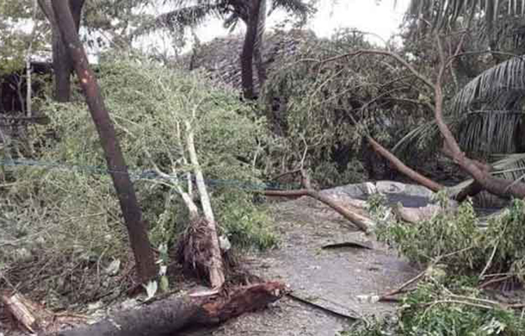 উপকূলীয় শ্যামনগর উপজেলার বুড়িগোয়ালীনি ইউনিয়ন পরিষদের চেয়ারম্যান ভবতোষ মন্ডল জাগো নিউজকে বলেন, ঝড়ে সব কিছু লন্ডভন্ড হয়ে গেছে। রাস্তাঘাটে গাছপালা পড়ে যোগাযোগ বিচ্ছিন্ন হয়েছে। মানুষের মাটির ঘরবাড়ি একটিও নেই।