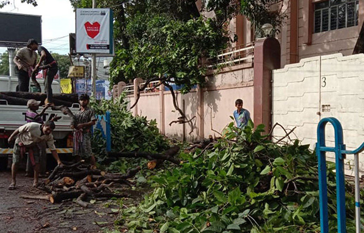 বুলবুল আসার আগে শনিবার সকাল থেকেই কলকাতায় শুরু হয়েছিল বৃষ্টি। সঙ্গে বইতে থাকে প্রবল ঝোড়ো হাওয়া। রাত পর্যন্ত তার বিরাম ছিল না। রাতে বুলবুলের দাপটে সাদার্ন অ্যাভিনিউ বা কাঁকুড়গাছি এলাকাসব কলকাতার বহু জায়গায় গাছ ভেঙে পড়ে। তবে পুরসভার তৎপরতা ও রবিবার ছুটির দিন হওয়ায় রাস্তায় যানজট এড়ানো গিয়েছে।