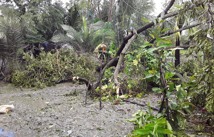 সাতক্ষীরার শ্যামনগরের উপকূলীয় বুড়িগোয়ালীনি ইউনিয়নের লন্ডভন্ড দৃশ্য। ছবি: আকরামুল ইসলাম