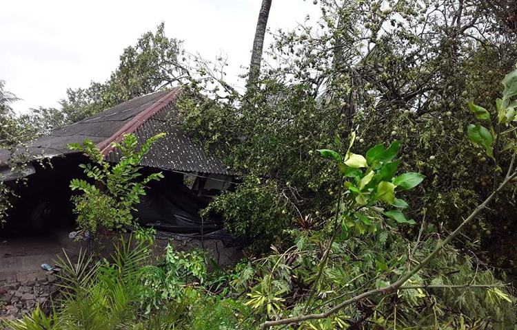 ঘরের উপর গাছ পড়ে এরকম অনেক বসতির ক্ষতি সাধন হয়েছে। ছবি: আকরামুল ইসলাম