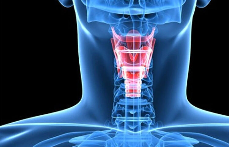 গবেষণা থেকে অনুমান করা হচ্ছে পুরুষদের কার্সিনোজেনিক এক্সপোজার বেশি হওয়ায় ক্যানসারের ঝুঁকি বেড়ে যায়। গবেষণার ফলাফল থেকে স্পষ্ট যে লিঙ্গের জৈবিক পার্থক্য, যেমন শারীরবৃত্তীয়, ইমিউনোলজিক্যাল, জেনেটিক বা অন্যান্য পার্থক্যগুলো ক্যানসারের ক্ষেত্রে একটি বড় ভূমিকা পালন করে। ছবি: সংগৃহীত