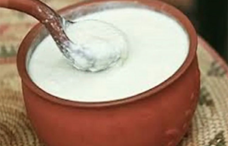 প্রতিদিনের খাদ্য তালিকায় টক দই একটি গুরুত্বপূর্ণ জায়গা নিতে পারে।