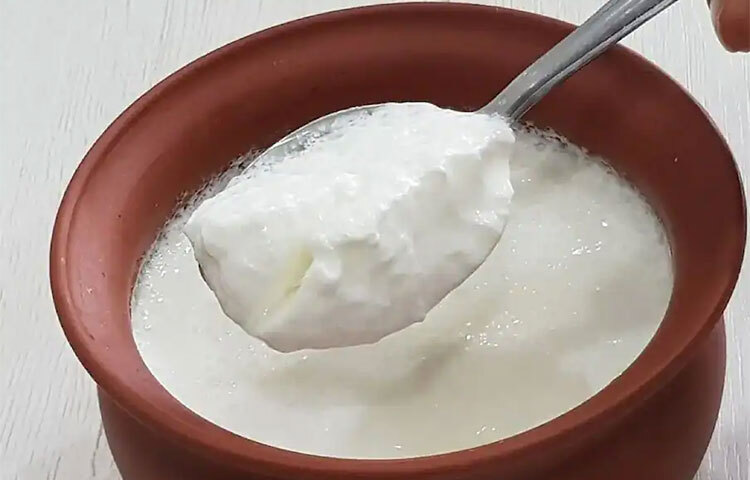 দইয়ের মধ্যে থাকে ক্যালসিয়াম, প্রোটিন এবং ভিটামিন। এছাড়াও রয়েছে অনেক পুষ্টিগুণ। দই শরীরের জন্য সব সময় ভালো। তবে বর্ষাকালে বা শ্রাবণ মাসে দই খাওয়া উচিত নয় বলে একটা কথা প্রচলিত রয়েছে। এই কথার আসলেই কী কোনো ভিত্তি আছে? ছবি: সংগৃহীত