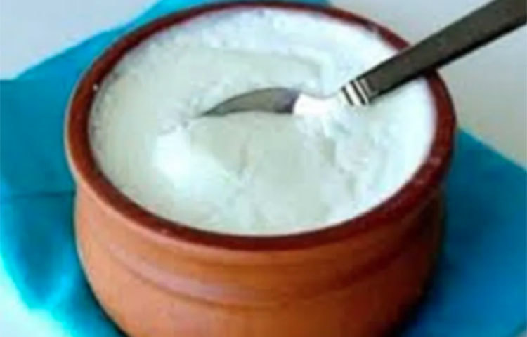 দইয়ে ল্যাকটিক অ্যাসিড আছে যা শরীরের পক্ষে অত্যন্ত উপকারি এমনতিই এক নয় বেশ কয়েকটি গুণ রয়েছে টকদইয়ে।